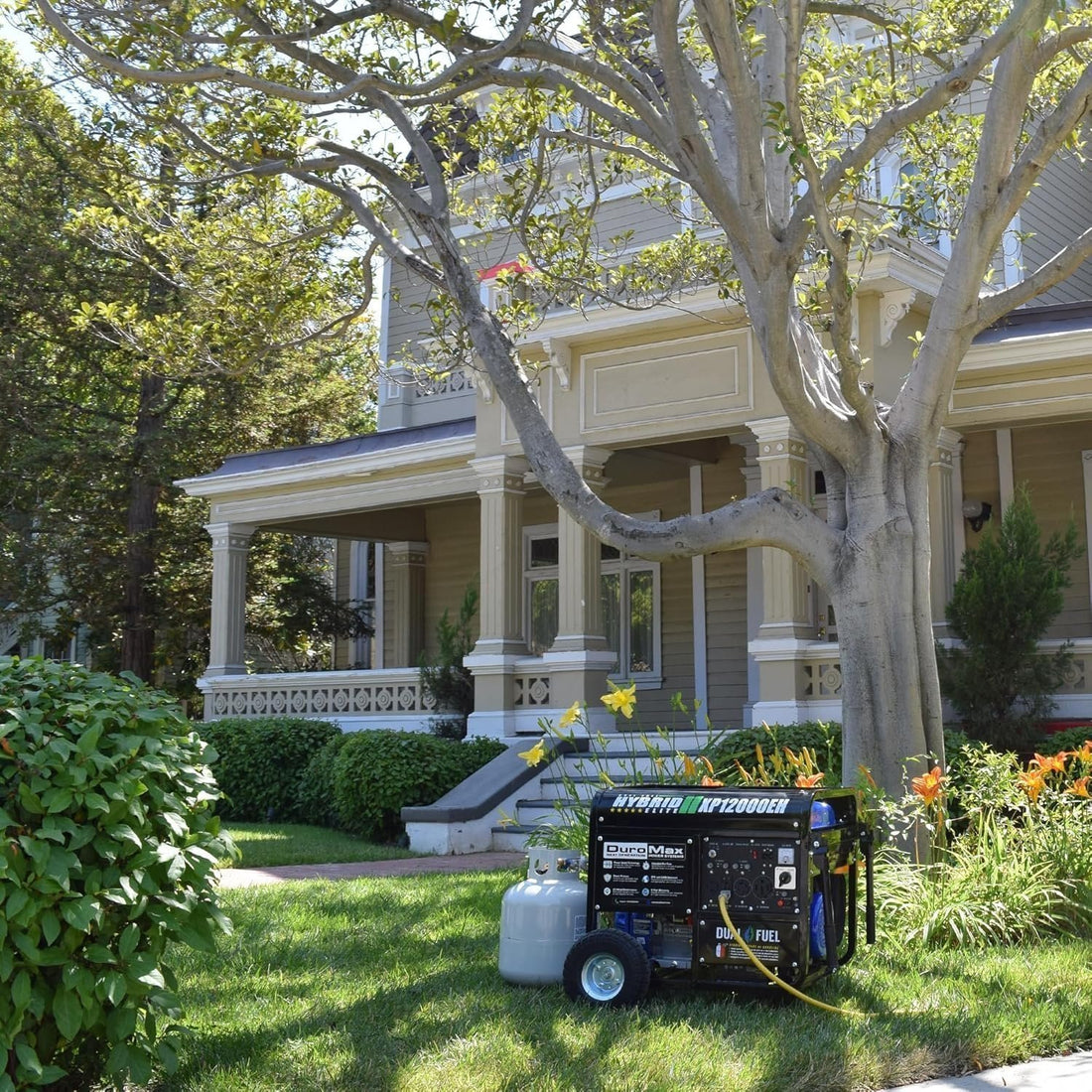 DuroMax XP12000EH 12,000 Watt Dual Fuel Portable Generator
