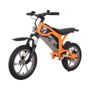 Gotrax Fitz 16″ Electric Dirt Bike - Bee Worths